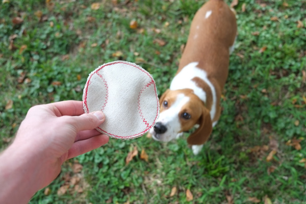 How to Make a Really Durable Dog Toy