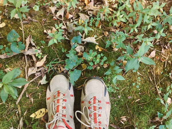 How to prepare for a day hike