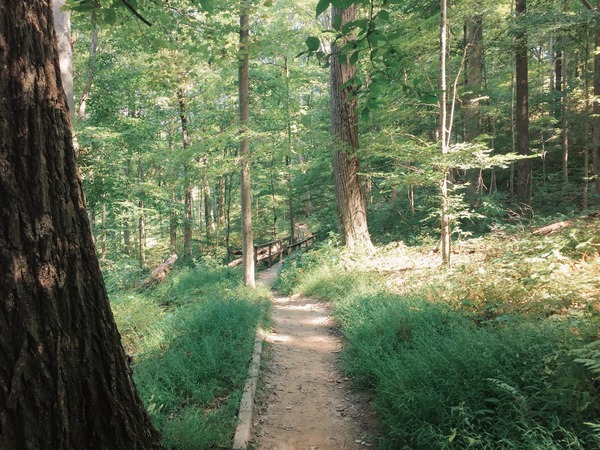 How to Prepare for a Day Hike