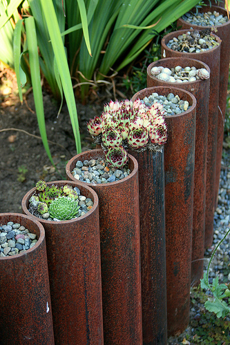 rusted steel planters