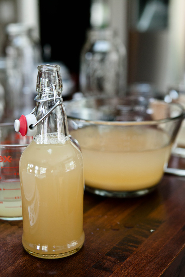Ginger Beer Concentrate