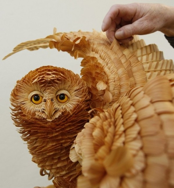 Shavings Animal