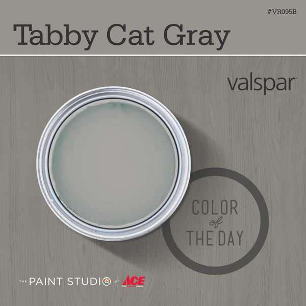 Tabby Cat Gray from Valspar