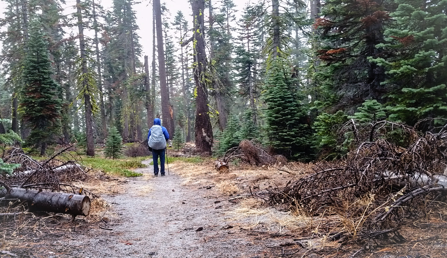 Hiking Trail