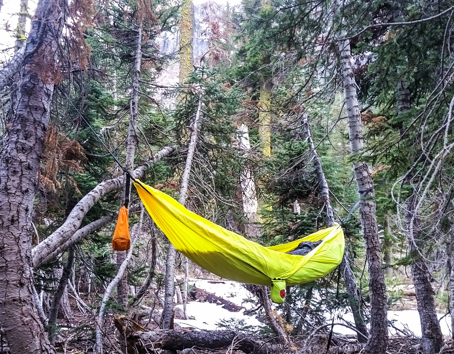 Hammock Camping