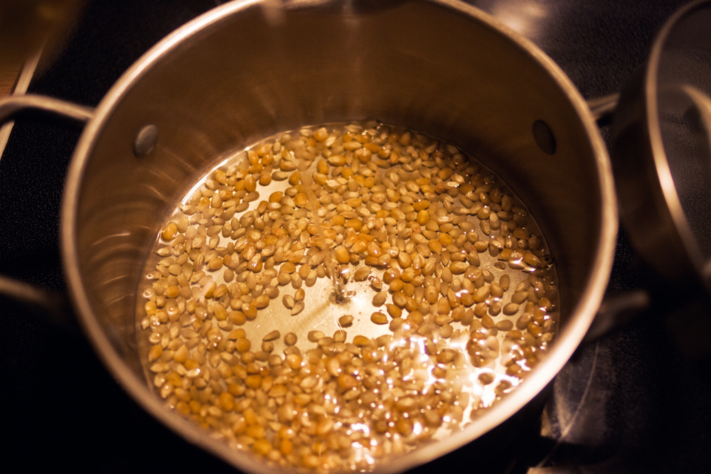 perfect stovetop popcorn - just the right amount of oil