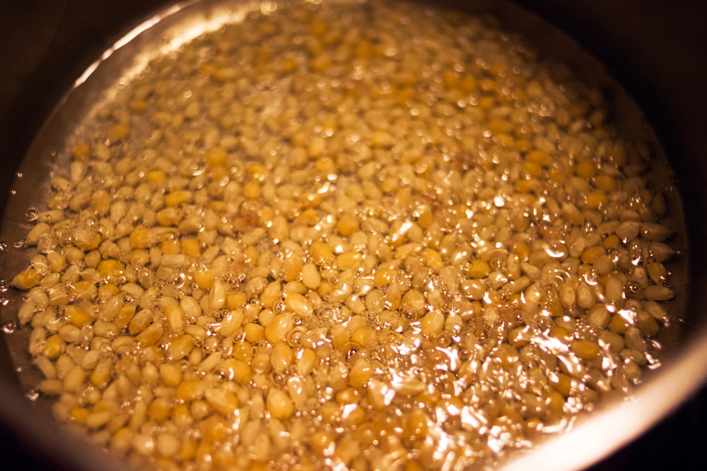 perfect stovetop popcorn bubbling away